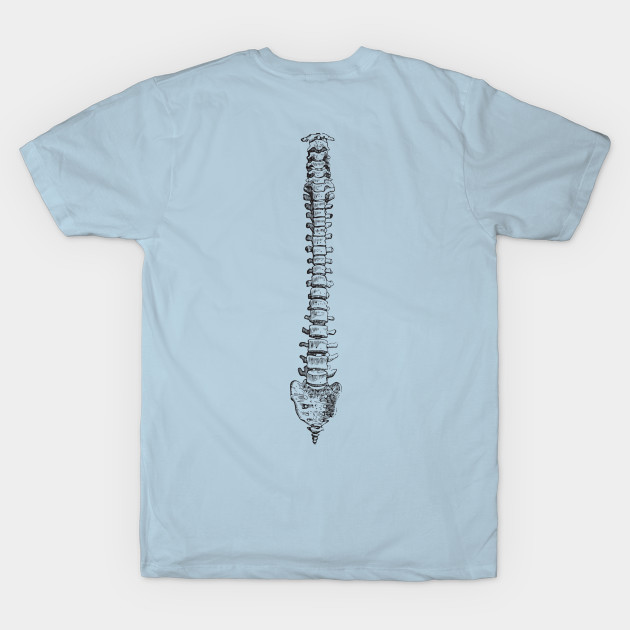 Spine anatomy by chapter2